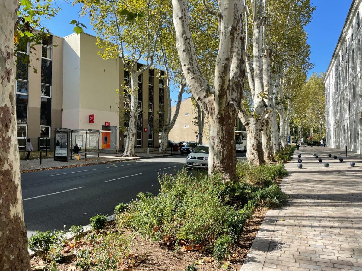 L'Eveche - T3 Spacieux & Traversant En Hypercentre Castres  Eksteriør billede